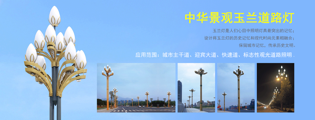 中华灯\景观玉兰灯\道路糖心APP下载汅API免费新版下载入口