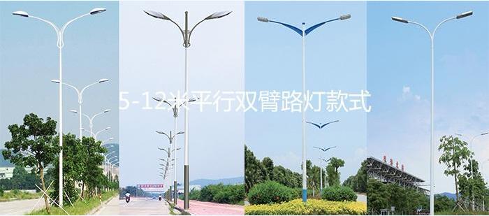 糖心VLOG污APP照明8米LED路灯双臂糖心视频黄色入口样式图片大全
