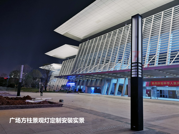 东莞市民服务中心广场中轴定制糖心APP下载汅API免费新版下载入口安装实拍效果